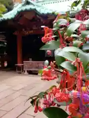 赤坂氷川神社(東京都)