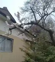 多賀神社(宮城県)