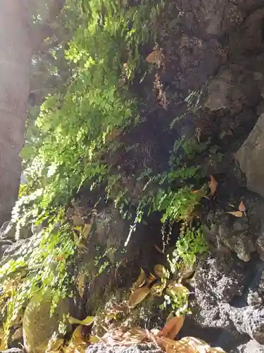 九頭龍権現水神社(東京都)
