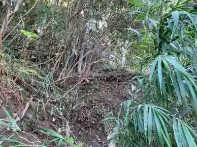 松尾神社の周辺