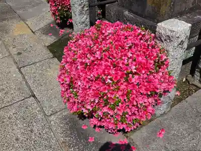 妙像寺(東京都)