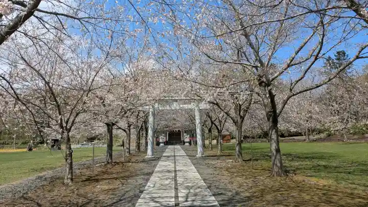 明和神社の{uncategorized: "未分類", other: "その他", undefined: "問題あり", building: "その他建物", grave: "お墓", sacred_gate: "鳥居", guardian: "狛犬", statue: "像", buddha: "仏像", history: "歴史", nature: "自然", garden: "庭園", animal: "動物", pagoda: "塔", temizu: "手水舎", mountain_gate: "山門・神門", sanctuary: "本殿・本堂", subordinate: "末社・摂社", art: "芸術", scenery: "景色", jizo: "地蔵", ema: "絵馬", goshuin: "御朱印", omikuji: "おみくじ", items: "授与品その他", amulet: "お守り", goshuincho: "御朱印帳", eats: "食事", festival: "お祭り", votive_dance: "神楽", shichigosan: "七五三参", wedding: "結婚式", experience: "体験その他", initially: "初詣", around: "周辺", anti_infection: "感染症対策"}