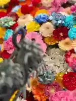 札幌諏訪神社の手水舎