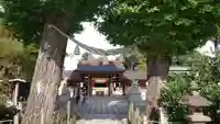 亀ケ池八幡宮の鳥居