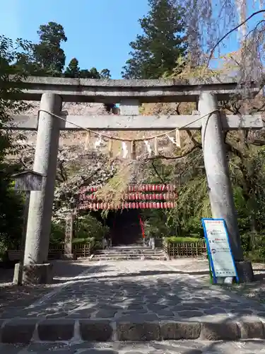 大崎八幡宮の鳥居