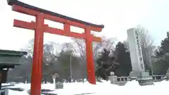 北海道護國神社の鳥居