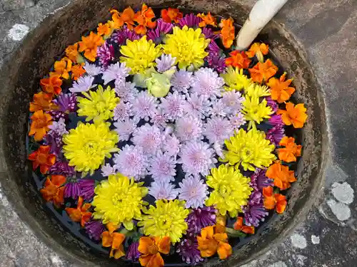 真言宗　善通寺派　薬王寺(香川県)