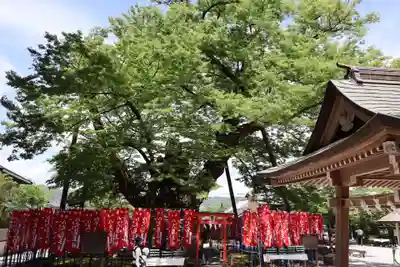 秩父今宮神社(埼玉県)