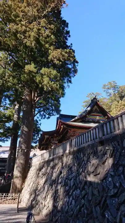 三峯神社(埼玉県)