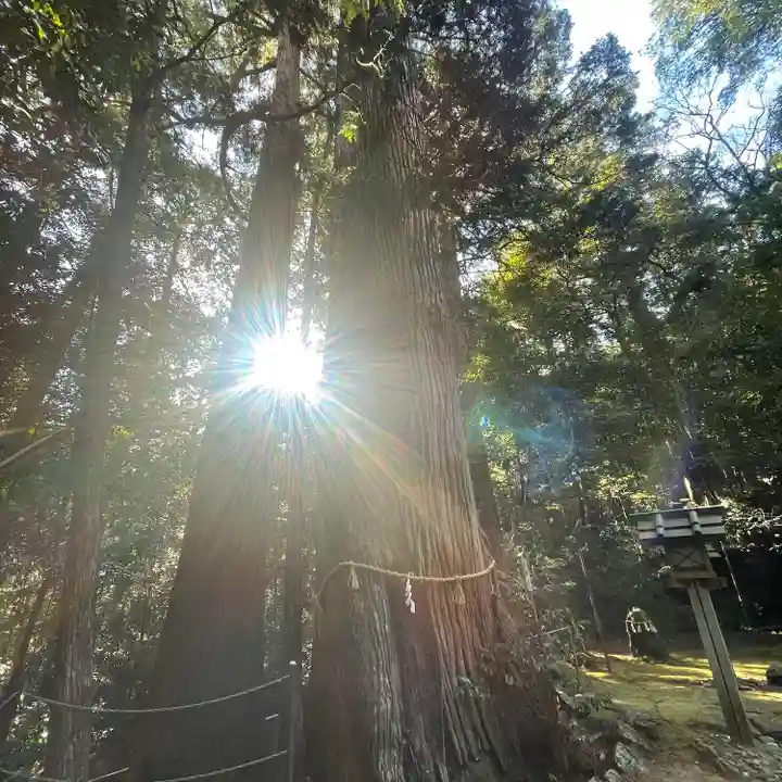 大馬神社(三重県)