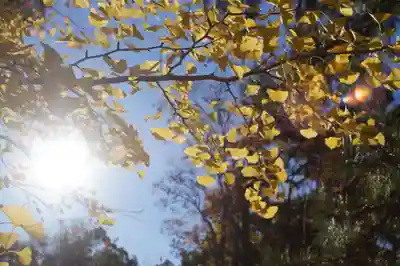 氣比神宮(福井県)