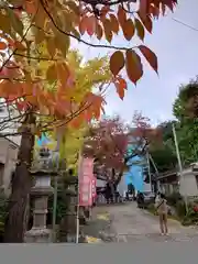 阿邪訶根神社(福島県)