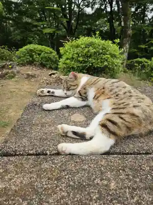 玉野御嶽神社(愛知県)
