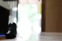 くまくま神社(導きの社 熊野町熊野神社)(東京都)