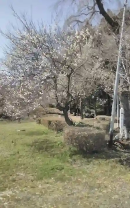 熊野本宮社(宮城県)