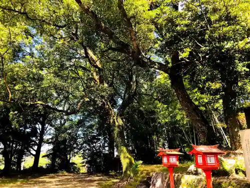 大宮神社の建物その他