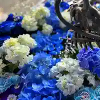 札幌諏訪神社の手水舎