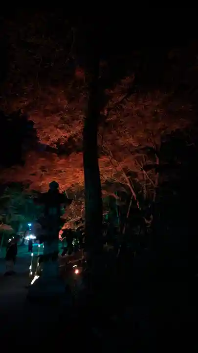 賀茂御祖神社(下鴨神社)(京都府)
