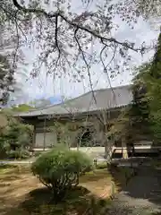 廣隆寺(京都府)