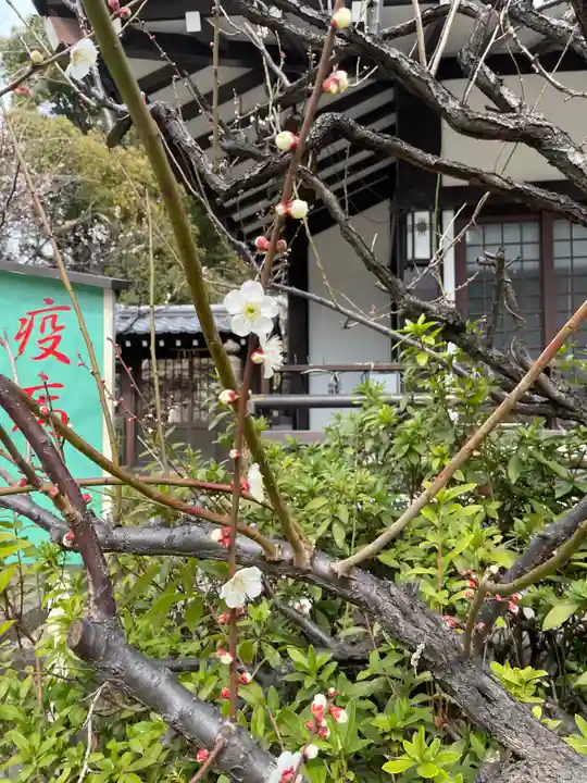 田蓑神社の自然