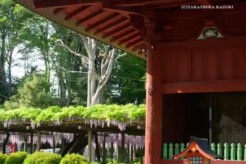 日吉神社のその他建物