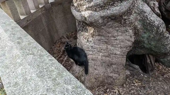 住吉大社の動物