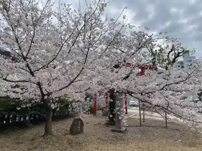 生田神社兵庫宮御旅所(兵庫県)