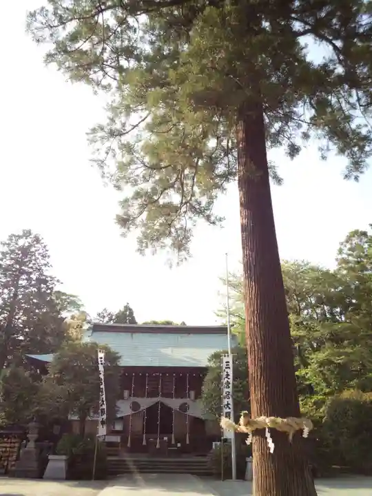 比々多神社の自然