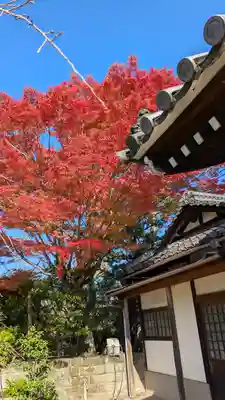 上品蓮台寺(京都府)