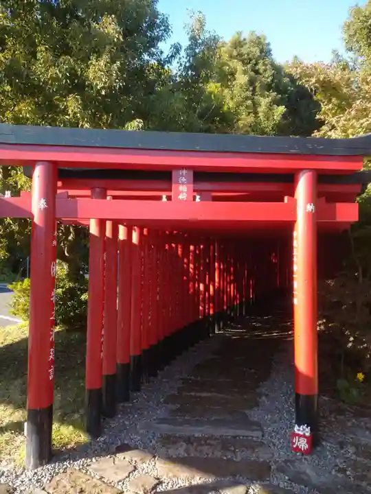 神徳稲荷神社の鳥居