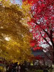 本土寺(千葉県)