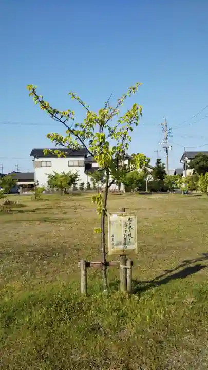 稲荷神社の自然