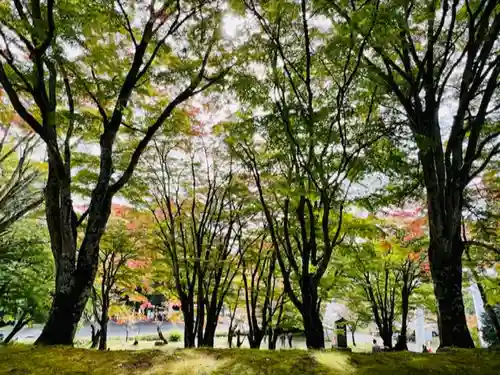 土津神社｜こどもと出世の神さまの景色