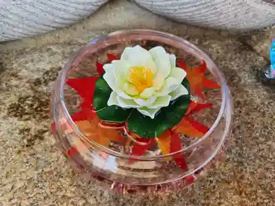 たつの市 常照寺(兵庫県)