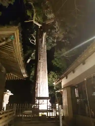 事任八幡宮の自然