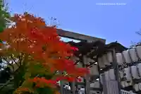 伊勢山皇大神宮(神奈川県)