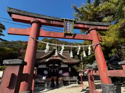 白鬚神社(滋賀県)