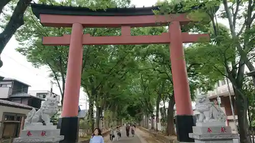 武蔵一宮氷川神社の鳥居