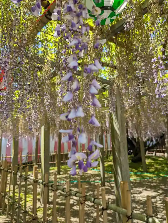 惣社神社(滋賀県)