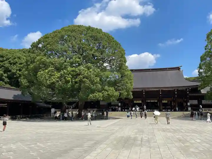 明治神宮(東京都)