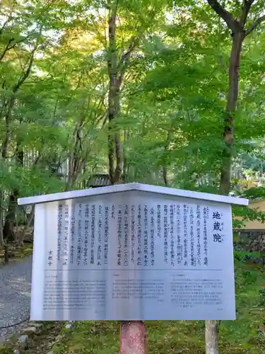 地蔵院(京都府)