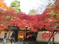 二尊院(京都府)