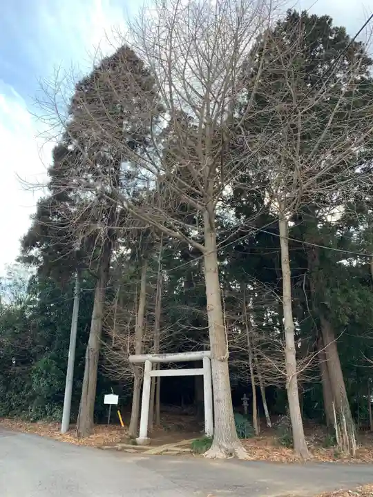 北向きの道祖神(千葉県)