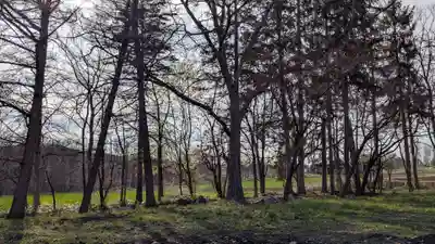 神楽神社の自然