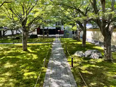 黄梅院(京都府)