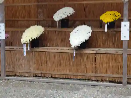 彌彦神社の建物その他