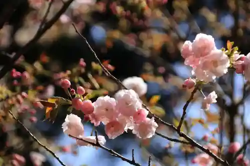 磐椅神社の庭園