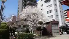 大須観音 （北野山真福寺宝生院）の自然