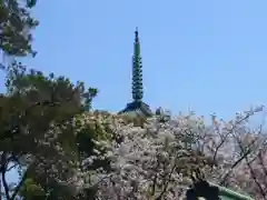 上野東照宮の建物その他