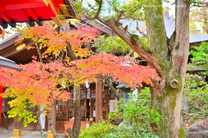 愛宕神社(東京都)